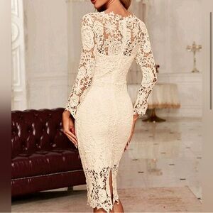 New Chic Sheer Embroidered Lace Illusion Bodycon Dress Ivory Cream